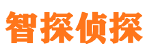 洛江侦探公司